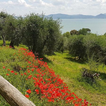 מלון קאסטיגליונה דל לאגו Antica Casa Di Famiglia מראה חיצוני תמונה